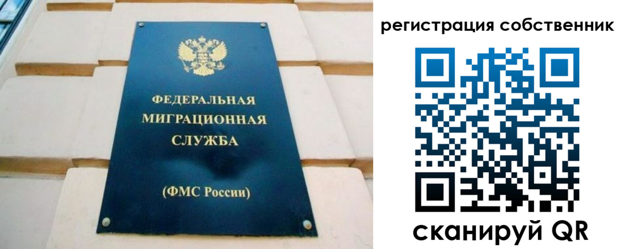 прописка в Заинске
